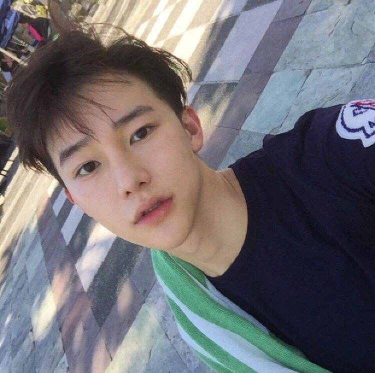 蔡琛儿韦