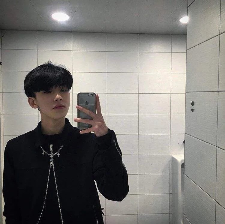 闻龙海菲
