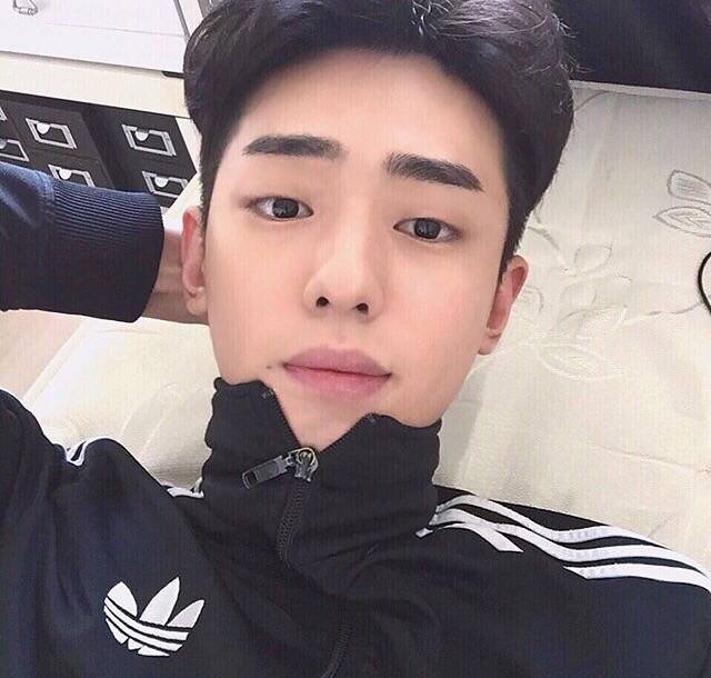 虞璧梵奇