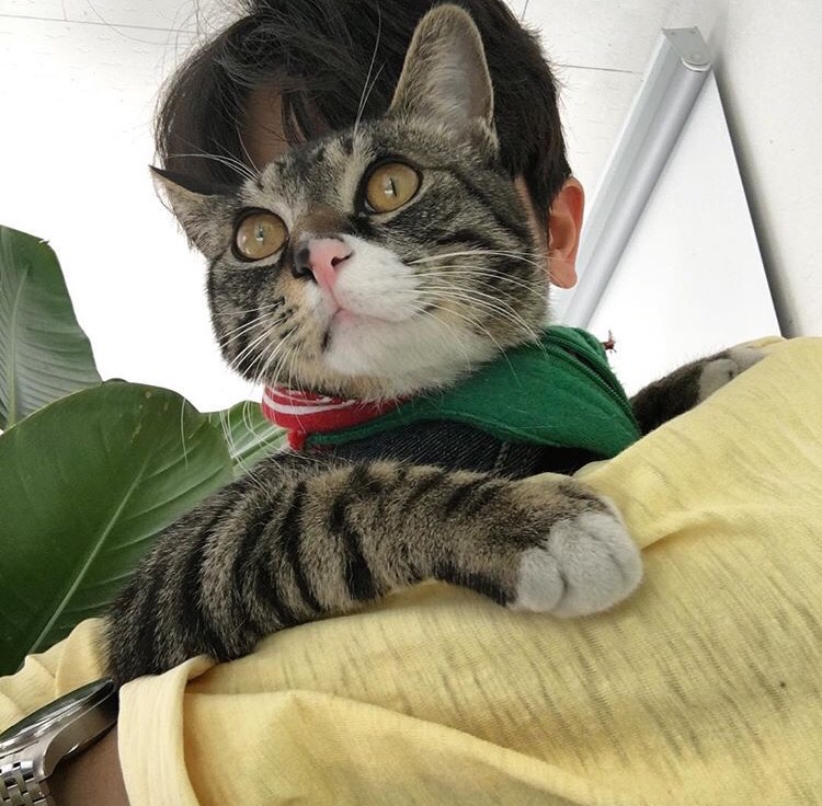 舒彬馨恒