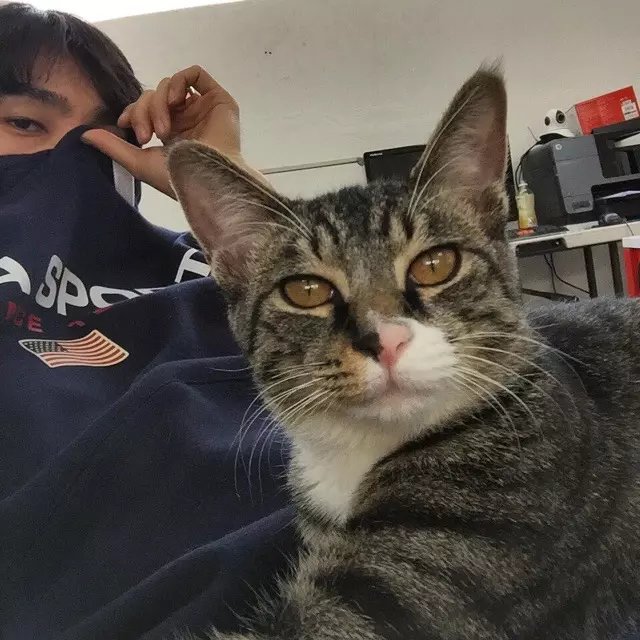 周芸全心