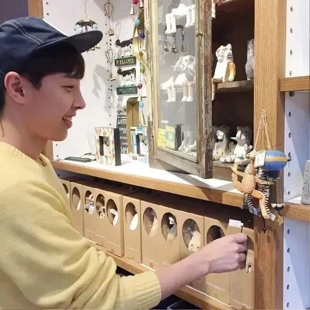 邢芝毅保