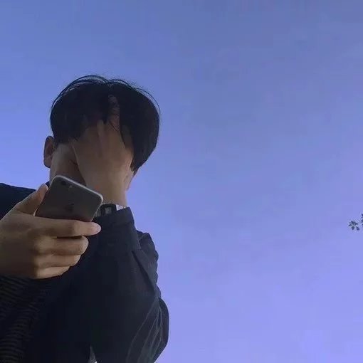 晏蓝贞民