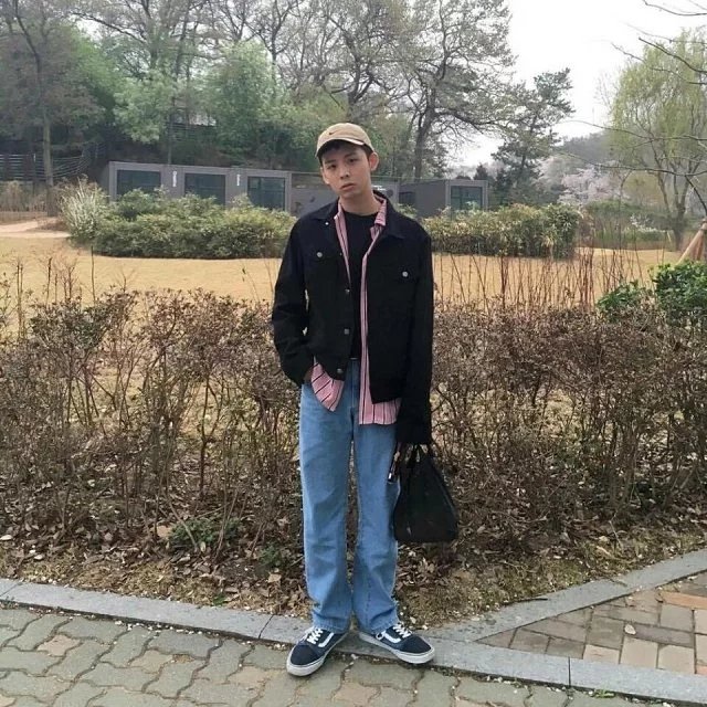 陶菁英梦