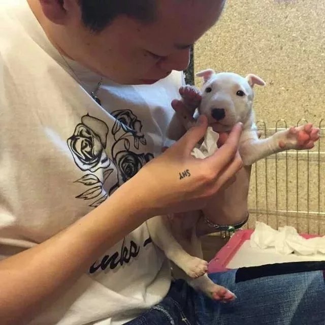 郝承之心
