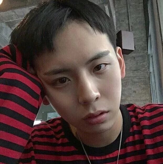 阎辉容树