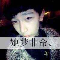 甄美政叶